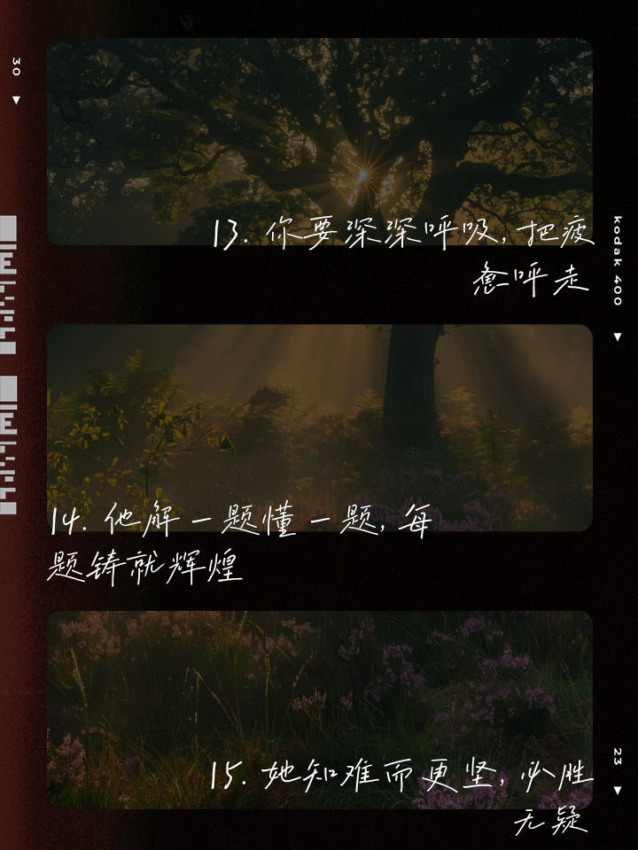 关于披荆斩棘闯入胜利之门，豪取冲刺前四关键航行的信息