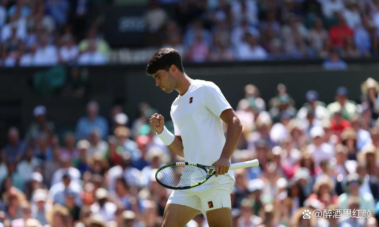 温网逆转蒙特卡洛大师赛，阿尔卡拉斯点燃赛场的简单介绍